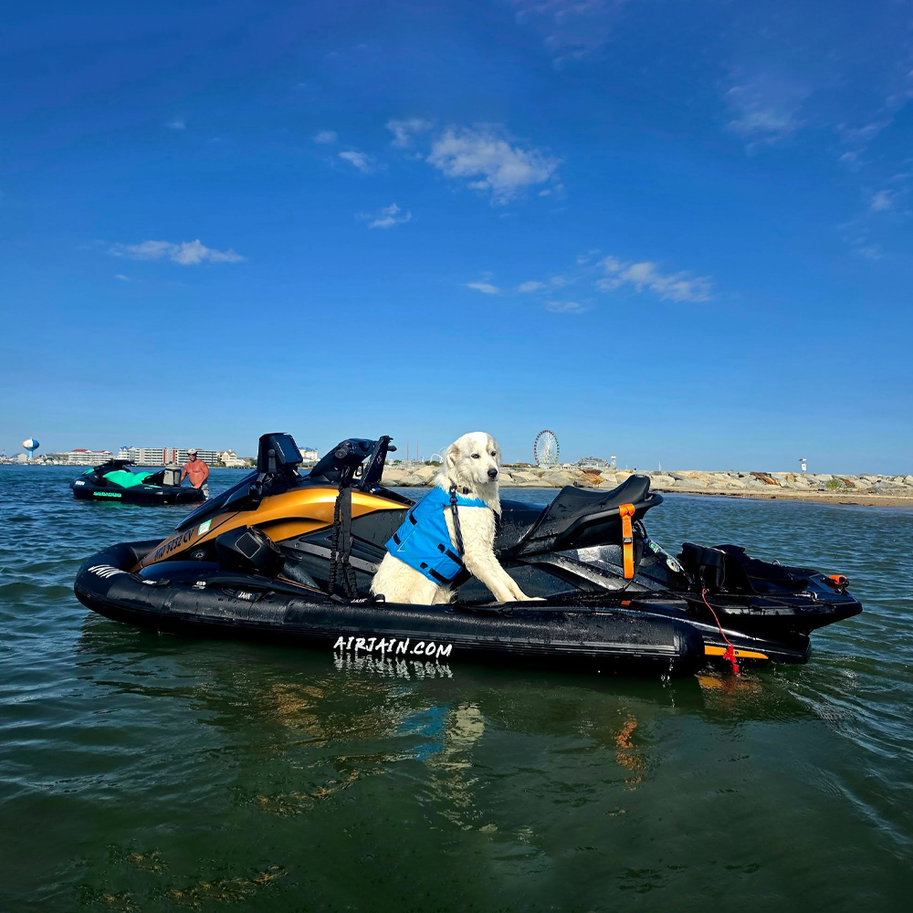 Yamaha Fishing Jet Ski Collar Pro | Anti-Capsizing & Damage Prevention