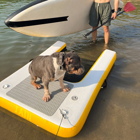 AirJain Inflatable Dog Ramp